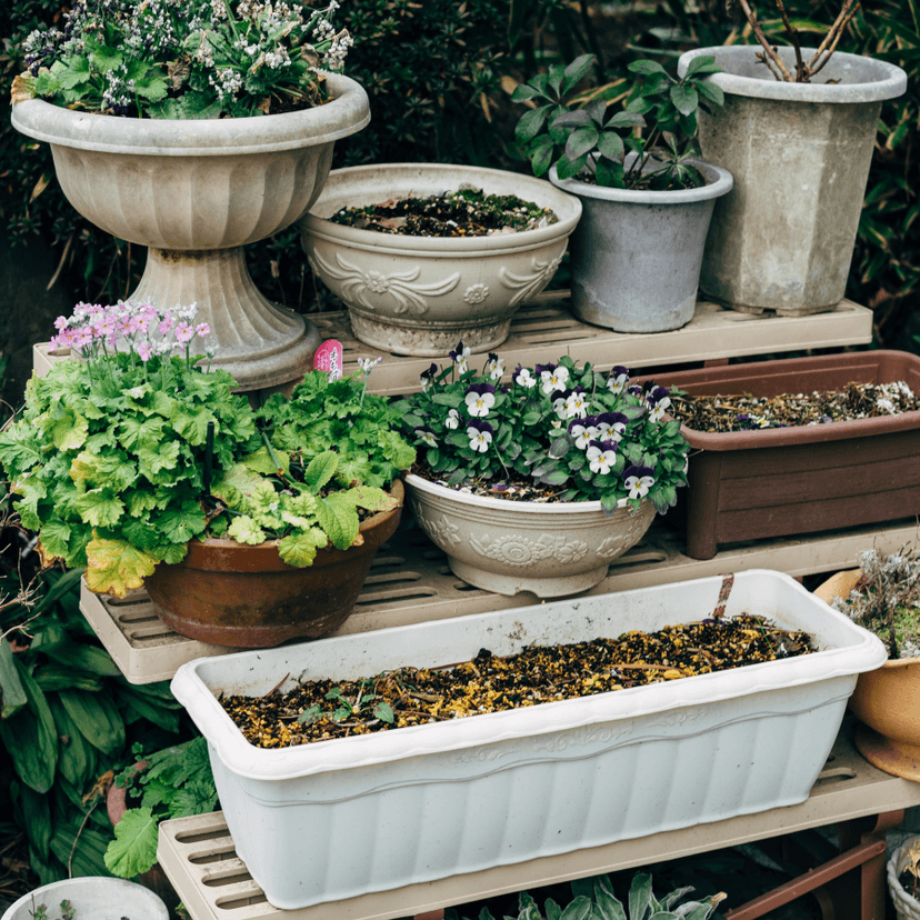 Vasos e recipientes para plantas